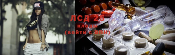 шишки Алексин