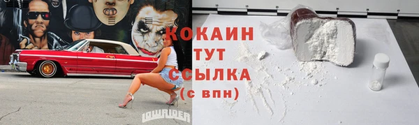 шишки Алексин