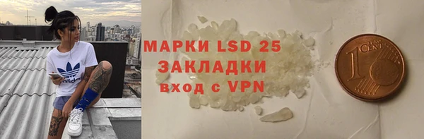 шишки Алексин