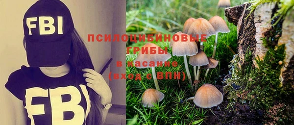 бошки Осташков