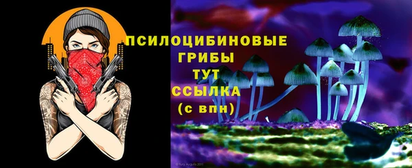 ALPHA-PVP Гусиноозёрск