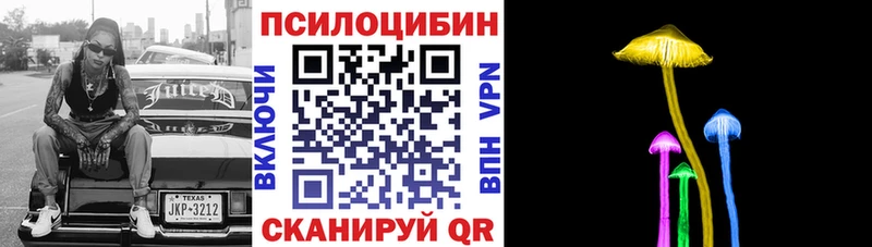 Галлюциногенные грибы Cubensis  купить   Кукмор 